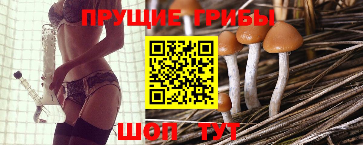 Галлюциногенные грибы мицелий Коряжма